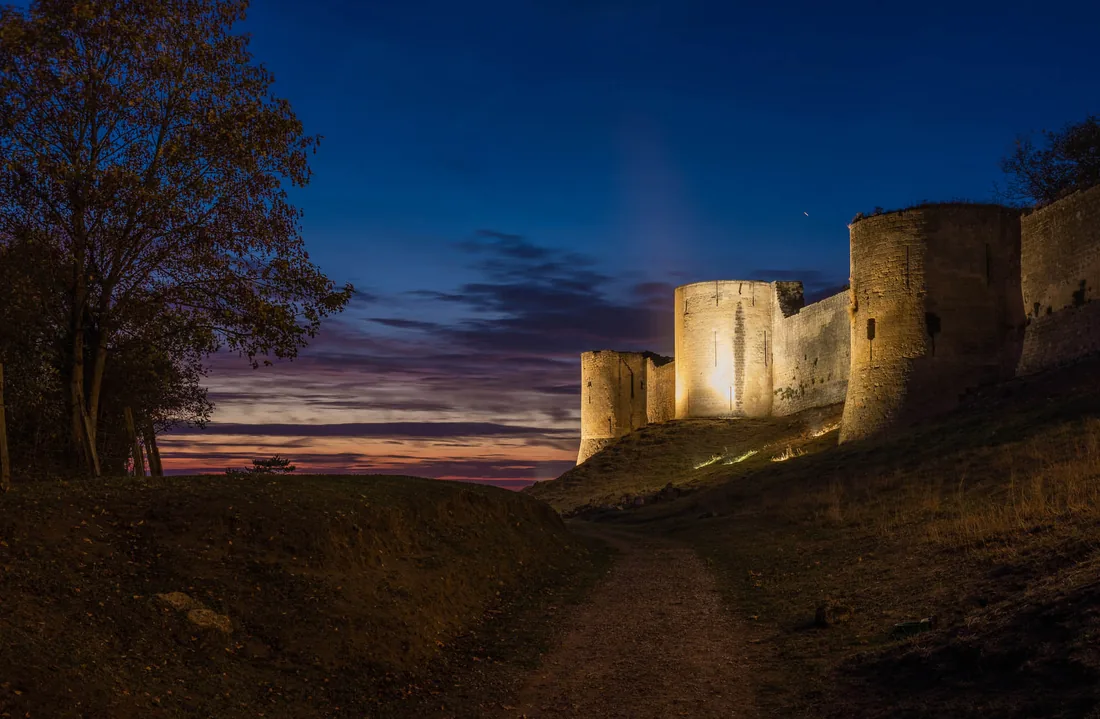 Remparts et silhouettes d'arbres au crépuscule