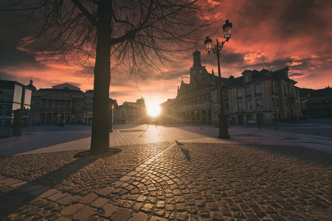 Arbre solitaire, place pavée au coucher du soleil