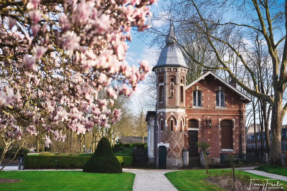 Maison de garde et magnolia en fleurs