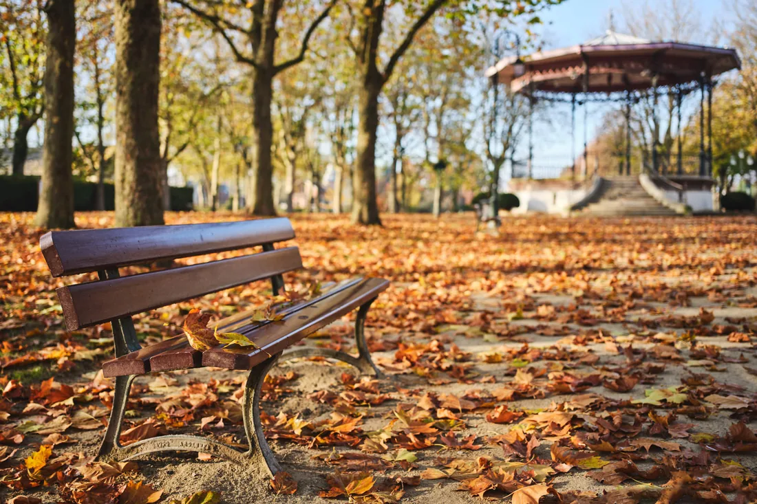 Banc et feuilles d'automne, allée du parc