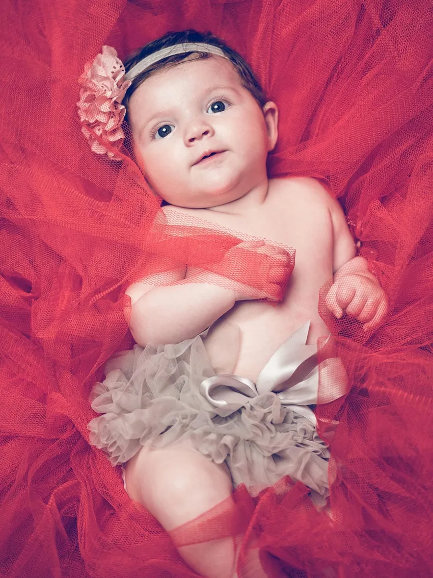 Fleur et tulle écarlate