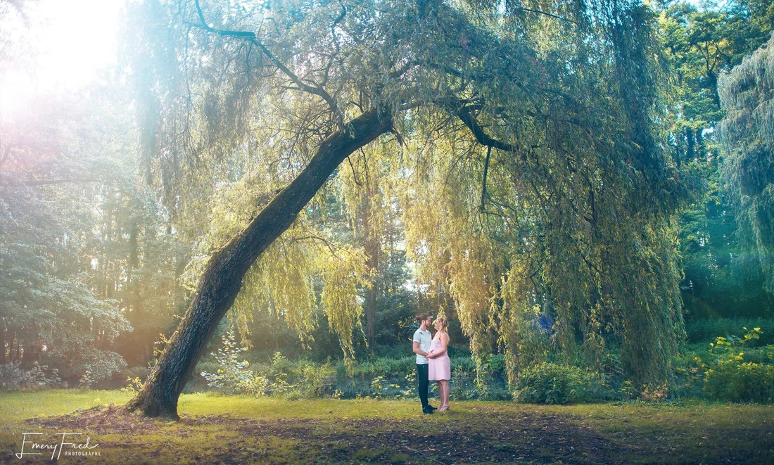 Sous le saule, complices