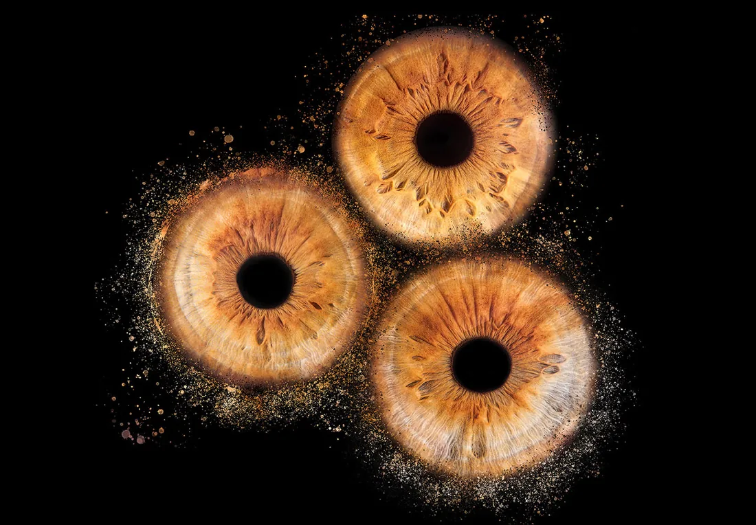 Trio d'iris, poussière dorée