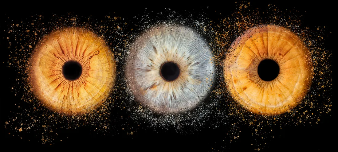 Triptyque d'iris, regards croisés