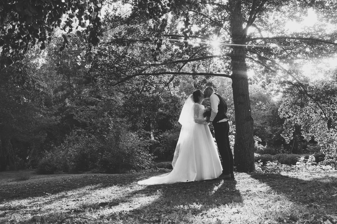 Baiser sous les arbres, contre-jour