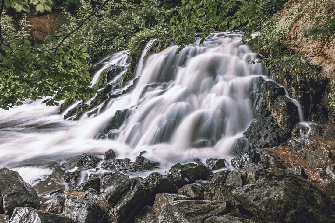 Cascade sauvage en forêt