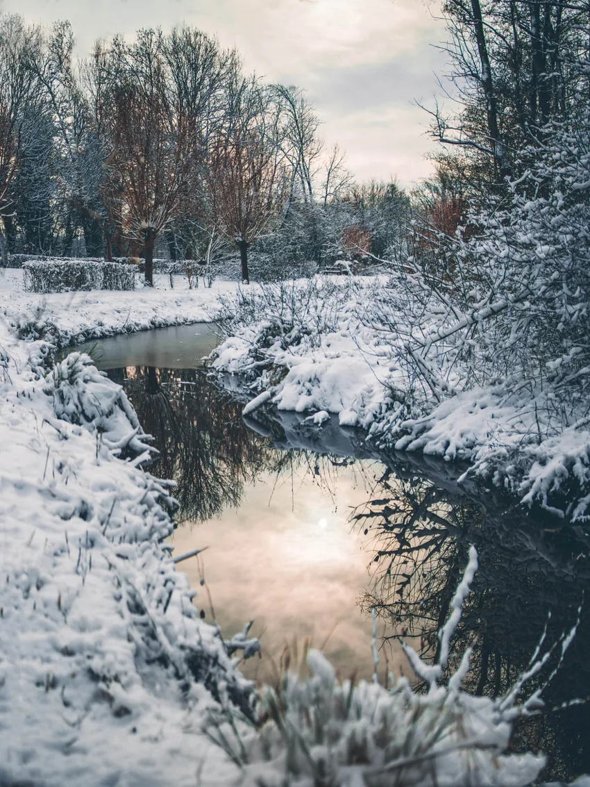 Étang gelé, silence hivernal