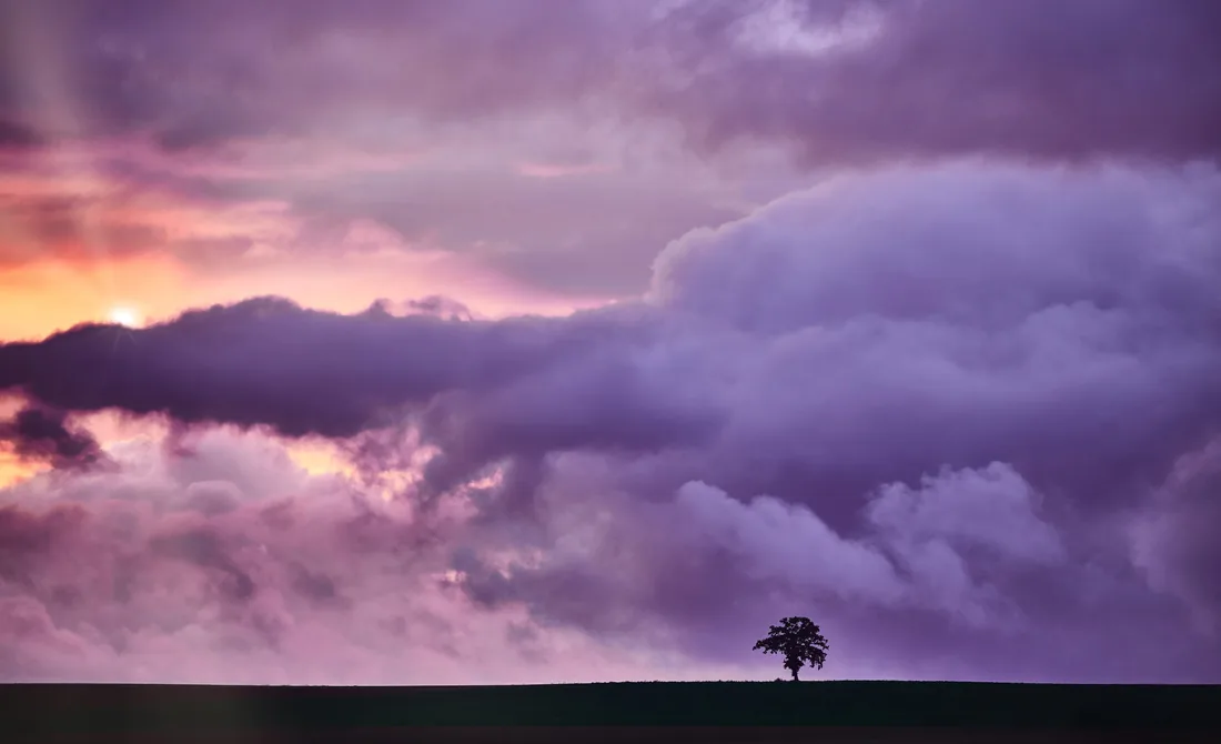 Ciel d'orage mauve, arbre solitaire